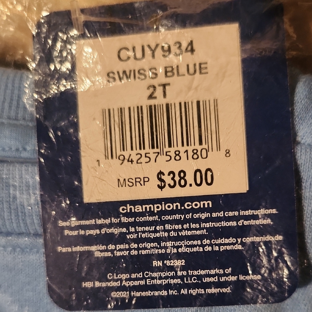 Champion Toddler Shirt in Swiss Blue